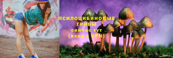 стаф Беломорск