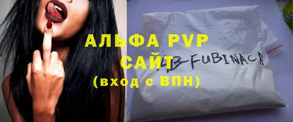 стаф Беломорск