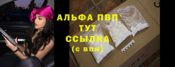 стаф Беломорск