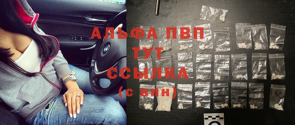 стаф Беломорск