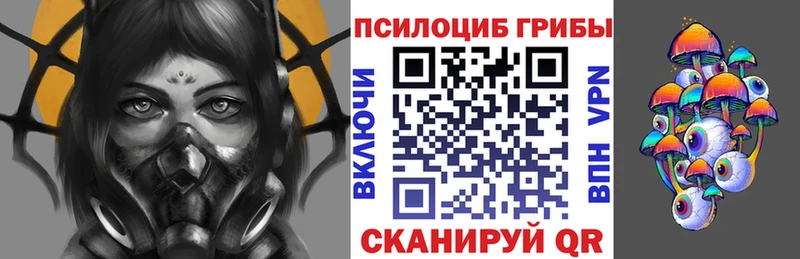 Псилоцибиновые грибы прущие грибы  Ершов 